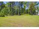 Expansive backyard surrounded by lush greenery and tall trees at 407 Spruce Ivy St, Moncks Corner, SC 29461