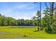 Scenic pond surrounded by lush greenery and framed by mature trees at 407 Spruce Ivy St, Moncks Corner, SC 29461