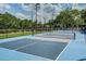 Well-maintained pickleball courts surrounded by lush greenery, perfect for recreational enjoyment at 408 N Palmetto St, Summerville, SC 29483
