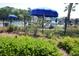Community pool area features mature landscaping, a black fence, blue umbrellas and lounge chairs at 9694 Roseberry St, Ladson, SC 29456