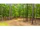 Serene wooded backyard featuring mature trees and a natural landscape, offering privacy and a peaceful outdoor retreat at 110 Cantering Hills Ln, Summerville, SC 29483
