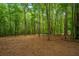 View of beautiful, dense woods, highlighting the property's natural setting at 110 Cantering Hills Ln, Summerville, SC 29483