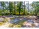 Backyard with a potential firepit, providing ample space for outdoor gatherings and relaxation at 113 Overhill Dr, Walterboro, SC 29488