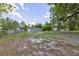 Large backyard with fencing offering privacy at 121 Harrison St, Varnville, SC 29944