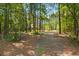 Long secluded driveway leading to a charming home nestled in a lush forest at 152 Candace Dr, Ridgeville, SC 29472