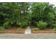 Beautifully landscaped front yard with lush greenery and a stone pathway at 2213 Rolling Dune Rd, Seabrook Island, SC 29455