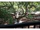 Beautiful view of a mature tree with twisting branches, surrounded by landscaping at 2213 Rolling Dune Rd, Seabrook Island, SC 29455