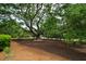 Expansive yard features a majestic live oak tree with seating area and lush landscaping at 2213 Rolling Dune Rd, Seabrook Island, SC 29455