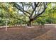 Beautiful outdoor space featuring a grand tree, mulched ground, and charming iron benches at 2213 Rolling Dune Rd, Seabrook Island, SC 29455