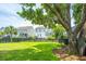 Expansive backyard featuring a well-maintained lawn and mature trees, creating a serene and private outdoor space at 2234 Mother Of Pearl Dr, Mount Pleasant, SC 29466