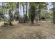 Large backyard with mature trees provides ample shade, privacy, and natural beauty at 2467 Bergeron Way, Mount Pleasant, SC 29466