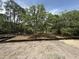 Expansive view of the wooded backyard showcasing a partially fenced lot at 2790 Burden Creek Rd, Johns Island, SC 29455