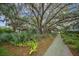 Picturesque walkway surrounded by lush greenery and moss-draped oak trees creating a tranquil ambiance at 7935 Flagship Ln, Johns Island, SC 29455