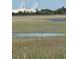 Marsh view looking across waterway towards the Ravenel Bridge in Charleston at 819 Burger St, Charleston, SC 29407