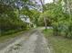 A long driveway leading to a charming home surrounded by lush trees and greenery at 8346 Chisolm Plantation Rd, Edisto Island, SC 29438