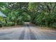 Scenic street view with lush trees and foliage create a serene and private atmosphere at 8346 Chisolm Plantation Rd, Edisto Island, SC 29438
