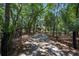 Long, tree-lined driveway leading to a charming home, creating a grand and inviting entrance at 8970 Palmetto Rd, Edisto Island, SC 29438