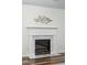 Close-up of fireplace with marble surround and decorative log display, creating a cozy and elegant focal point at 1027 Wayfarer Ln, Charleston, SC 29412