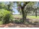 Serene natural view of a green space featuring spanish moss-draped trees and a vibrant meadow at 1093 Ave Of Oaks, Charleston, SC 29407