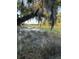 Picturesque marsh landscape with tall grasses and serene water reflecting the sky at 1093 Ave Of Oaks, Charleston, SC 29407