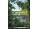 Picturesque marsh landscape with serene water reflecting the sky and surrounding lush trees at 1093 Ave Of Oaks, Charleston, SC 29407