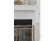 Close up of fireplace showing white mantle and gold screen at 137 Bratton Cir, Mount Pleasant, SC 29464