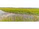 Scenic marsh view showcasing lush vegetation, calm waters, and a serene natural landscape at 1514 Patterson Ave, Charleston, SC 29412