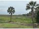 Scenic marsh landscape with palm trees and distant view of a lighthouse under a cloudy sky at 1736 E Ashley Ave, Folly Beach, SC 29439