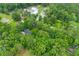 An aerial view of a lush, green residential area with scattered homes and buildings nestled among the trees at 201 Frank St, Summerville, SC 29483