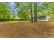 A sprawling backyard featuring a fence, mature trees and lush greenery at 201 Frank St, Summerville, SC 29483