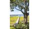 Picturesque dock leading to the water, framed by a large tree and grassy landscape, inviting exploration at 202 Bank St, Mount Pleasant, SC 29464