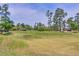 Scenic view of the golf course, showcasing lush green fairways and mature trees throughout the community at 203 Yeamans Way, Summerville, SC 29483
