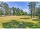 Expansive golf course view, highlighting mature trees and the green landscape of the community at 203 Yeamans Way, Summerville, SC 29483