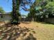 Lush backyard featuring a storage shed and a partially fenced boundary, inviting outdoor enjoyment at 2041 Covey Ln, Charleston, SC 29412
