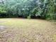 View of large backyard with mature trees and open grassy area ready for new owners at 208 Orange St, Walterboro, SC 29488