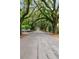 A beautiful street lined with trees at 2101 Wappoo Dr, Charleston, SC 29412