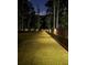 Fenced backyard illuminated with stylish lighting, enhancing security and ambiance at 3025 Rampart Rd, Summerville, SC 29483