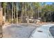 Community playground with swings, slides, and climbing structures, surrounded by towering pines at 436 Rowley Ln, Summerville, SC 29486