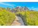 Beachfront condos with a boardwalk leading through lush greenery and coastal vegetation at 4403 Sea Forest Dr, Kiawah Island, SC 29455