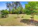 Spacious backyard with manicured lawn, decorative trees and privacy fence at 5078 Song Sparrow Way, Summerville, SC 29483