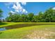 Scenic pond surrounded by lush greenery and a bright blue sky at 5128 Thornton Dr, Summerville, SC 29485