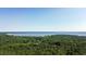 Stunning aerial view of lush green trees and a large beautiful lake in the distance at 513 Pauline Dr, Bonneau, SC 29431