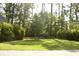 Expansive backyard with mature trees, providing shade and privacy at 1723 Bolden Dr, Mount Pleasant, SC 29466