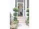 Charming front porch with topiaries and colorful flowers leading to a bright entryway at 1723 Bolden Dr, Mount Pleasant, SC 29466
