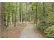 Serene walking path through a lush forest, perfect for a peaceful stroll at 189 Fox Chase Dr, Goose Creek, SC 29445