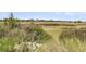 Future homesite with mature grass, plants, and a partial view of the surrounding landscape at 200 Wappoo Rd, Charleston, SC 29407