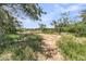 Future homesite showing beautiful open space with a backdrop of lush trees at 200 Wappoo Rd, Charleston, SC 29407