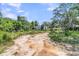 Future homesite showcasing the space for your dream home surrounded by mature trees at 200 Wappoo Rd, Charleston, SC 29407