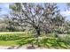 A lawn, sidewalk, and large trees casting shadows at 200 Wappoo Rd, Charleston, SC 29407