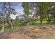 Scenic backyard with mature trees, hanging moss, and lush green meadow at 2340 Ashley River Rd, Charleston, SC 29414